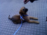 Byron