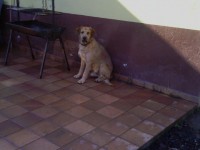 Golfo